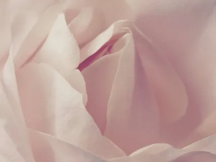 Explore Your Inner World Meditation