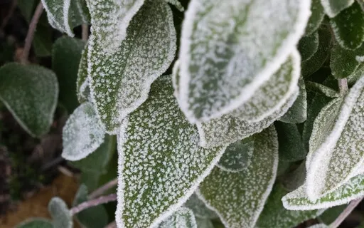 Explore Your Neural Architecture - Dorsal Vagal System