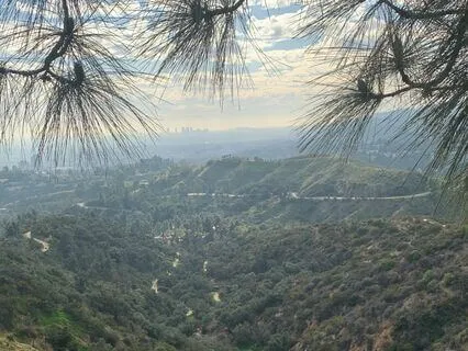Exploring An Autumn Forest Under The Harvest Moon