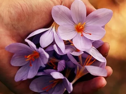 Exploring Body and Breath with Laura Shekerjian