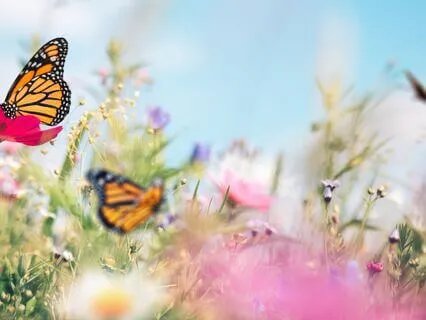 Exploring Clairsentience: The Gift Of Clear Feeling