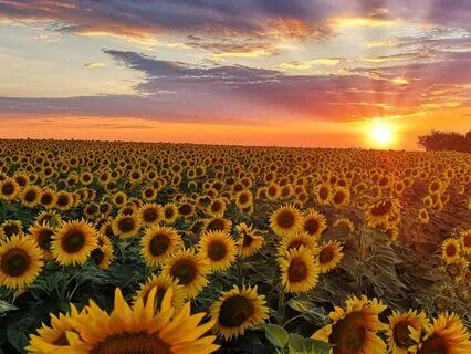 Exploring Clairvoyance: The Gift Of Clear Seeing