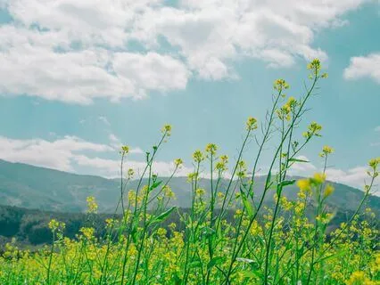 Exploring Different Perspectives For Empathy
