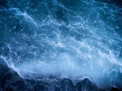 Exploring Fear & Hatred In the World