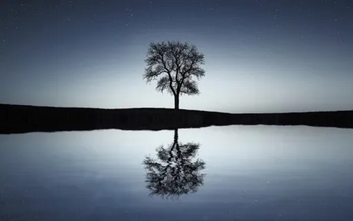 Exploring Heavy & Light