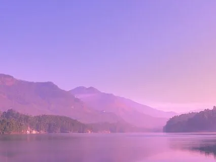 Exploring IFS From A Buddhist Perspective