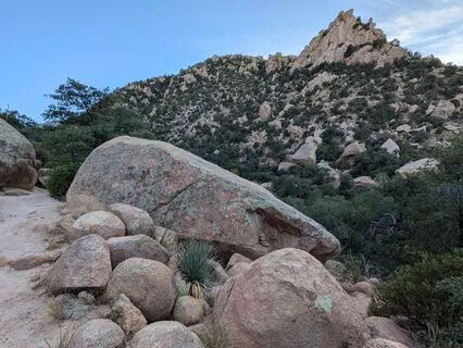 Exploring Meditation Postures
