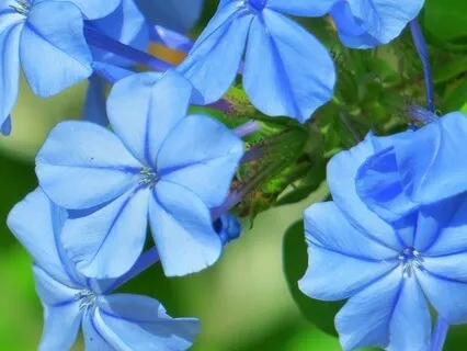 Exploring Parenting Choices