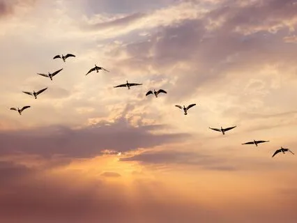 Exploring Past In The Present