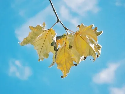 Exploring Positive Peace