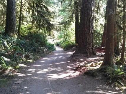 Exploring Possibilities When Feeling Stuck 