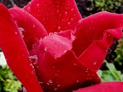 Exploring Purpose And The Body With Yoga Nidra