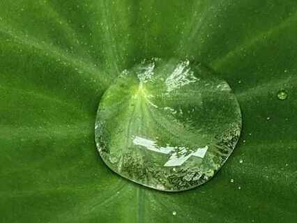 Exploring Relationships With Yourself, Others And God