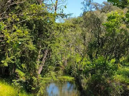 Listening To The Now-Moment