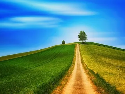 Exploring Spirituality Through Meditation