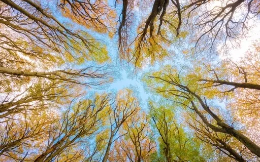 Exploring Stillness (With Piano Music)