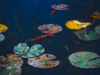 Exploring The Body Through Touch & Sensuality 