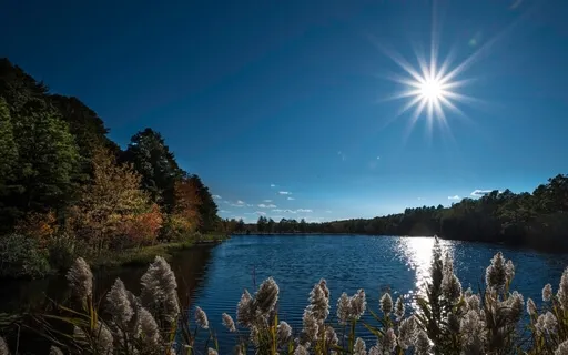 Exploring The Breath- Sensations Of The Breath