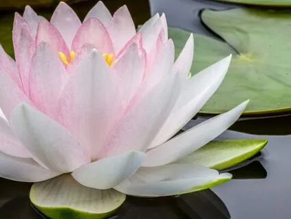 Exploring The Chakras - 10-Minute Meditation