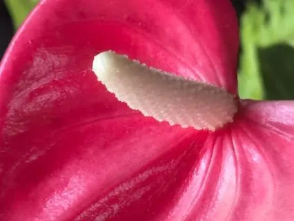 Exploring The Depths Of The Mind And Beyond