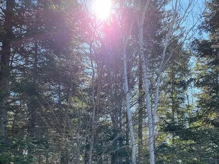 Exploring The Elements