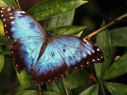 Exploring The Feeling – Somatic Guidance