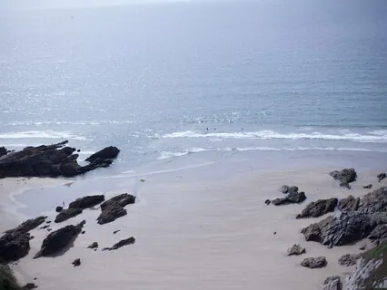 Exploring the Mind / Body Connection