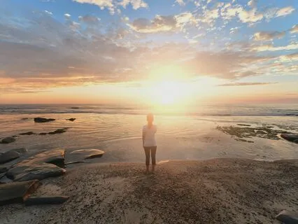 Exploring The Nature Of The Body