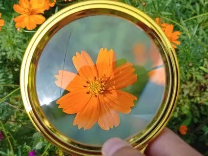 Exploring The Observer Role For Katie Jayne - Part 1