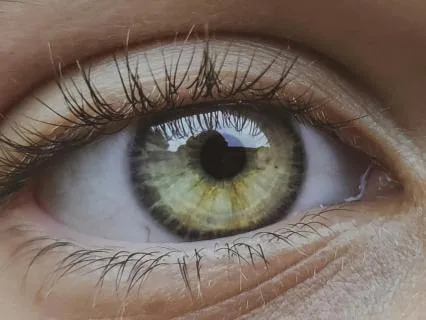 Exploring The Pineal Gland's Frequency