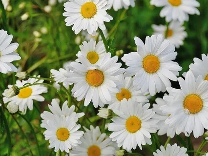 Exploring The Principle Of Mind - July 24th