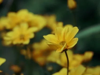 Exploring The R.A.I.N. Practice Part 3