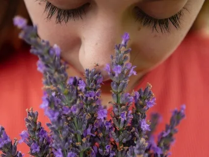 Exploring The Sense Of Smell Within The Body
