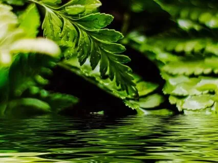 Exploring The Space Between The Thoughts