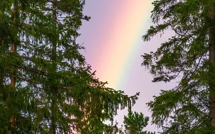 Exploring The Texture Of The Mind