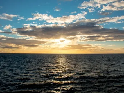 Exploring Work Mindfulness