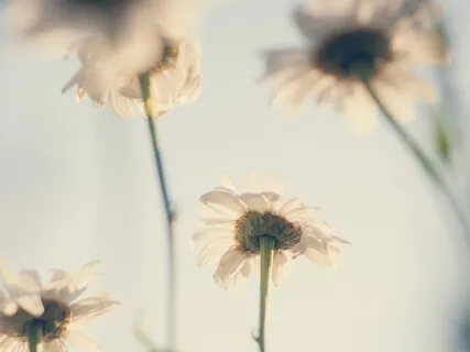 Exploring Your Self-Critic