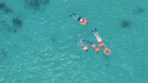 Exploring Your Values   - 5 Minute Daily Insight