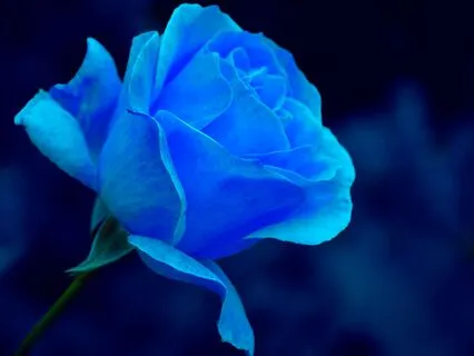 Expression & Authenticity (Throat Chakra) Affirmations