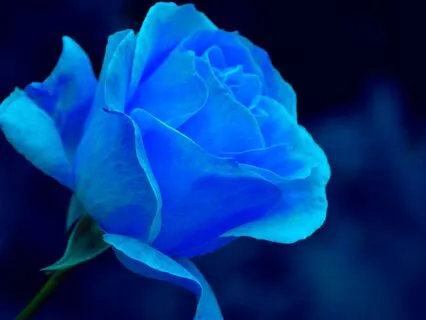 Expression & Authenticity (Throat Chakra) Just Affirmations