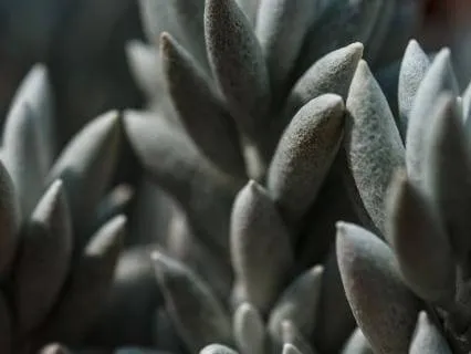 Extended 432 Hz Delta Binaural Beat For Deep Rest