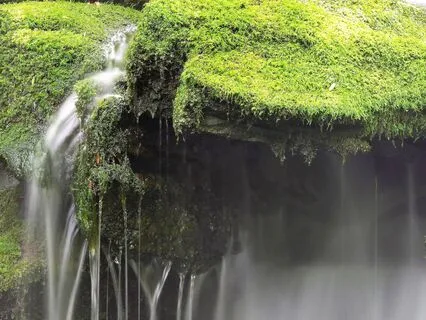 Extended Cortisol Detox Breathwork Flow