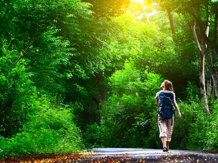 Extended Guided Walk Through The Forest 