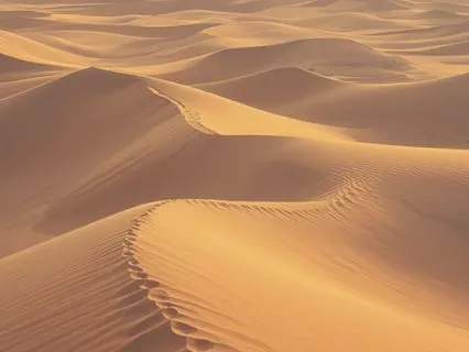 Extended Stillness For Deep Presence