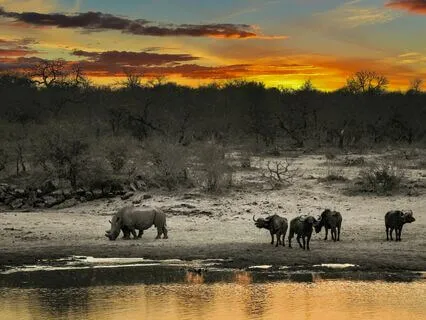 Extending Kindness To All Living Things