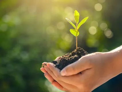 Extending Your Divine Protection: Your Gift To The World