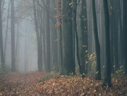 Extrasensory Perception | 10000 Hz + 4Hz Theta Isochronic