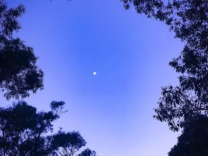 Extraterrestrial | Relaxation Sleep Meditation Piano 432 Hz