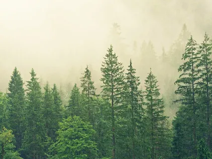 Extremely Soothing Music (Mind-Body Calmness)