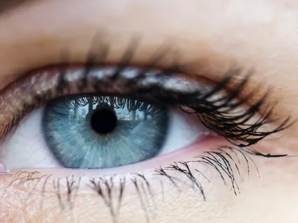 Guided Practice For Healthy Eyes And Greater Vision